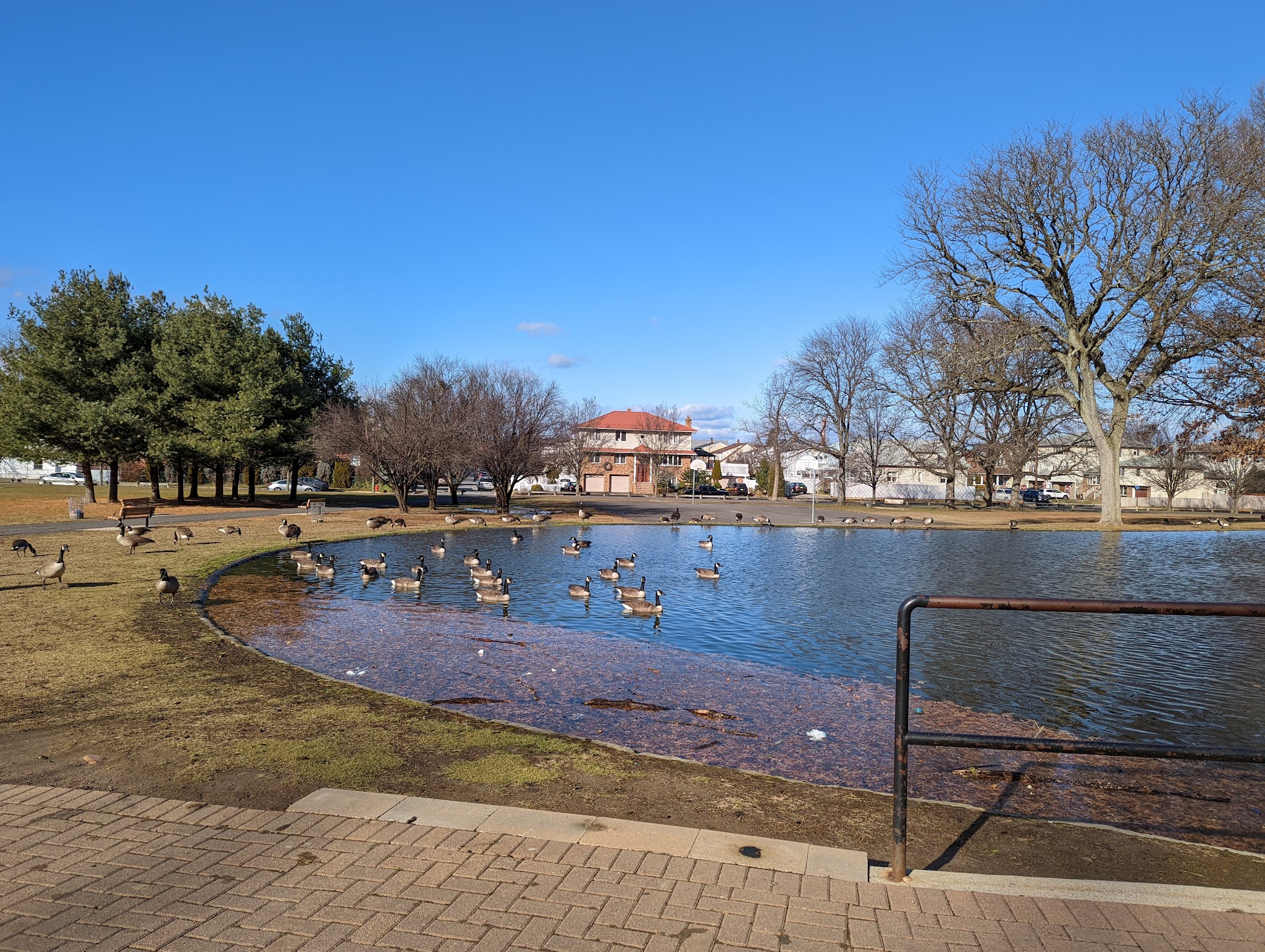 Pioneer Park
