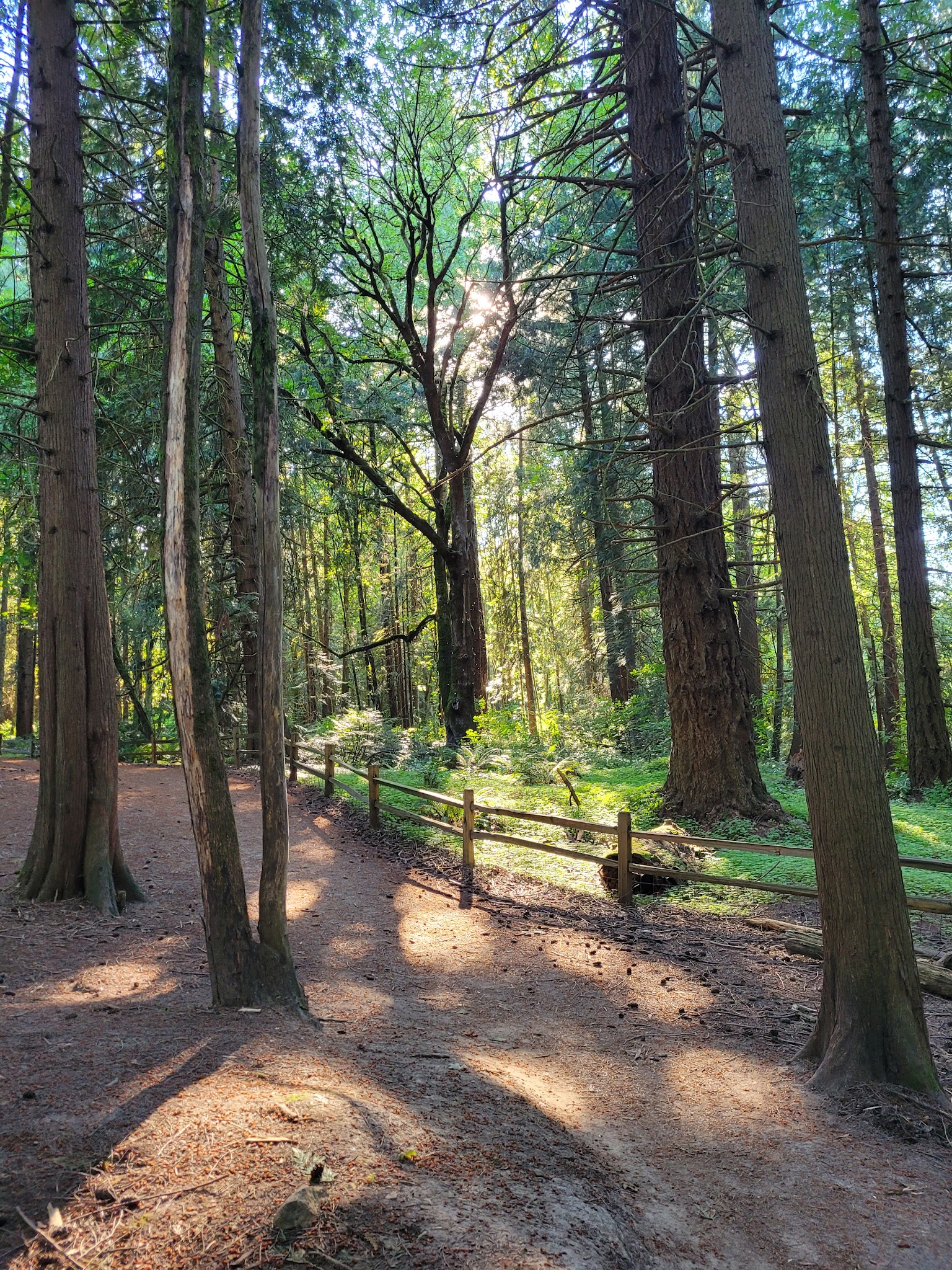 Shemanski Park