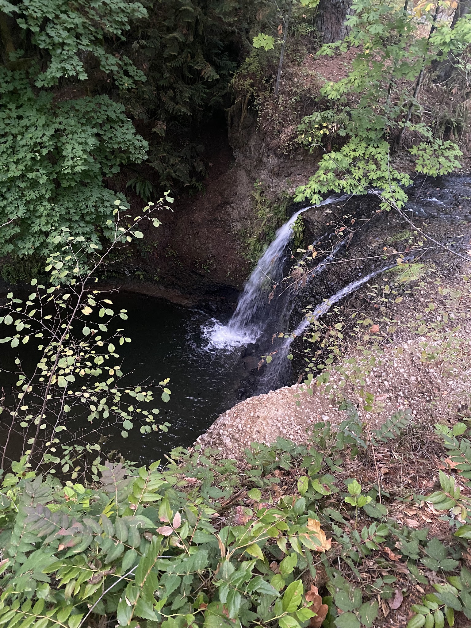 Hawthorne Park