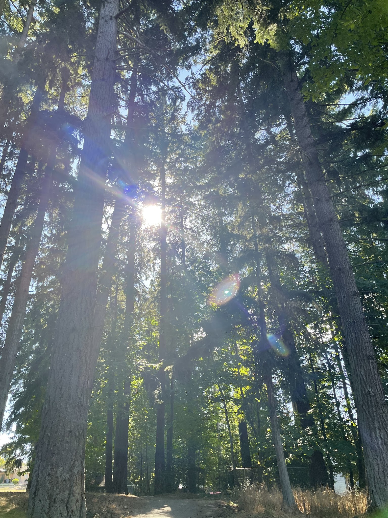 Pacific Community Park