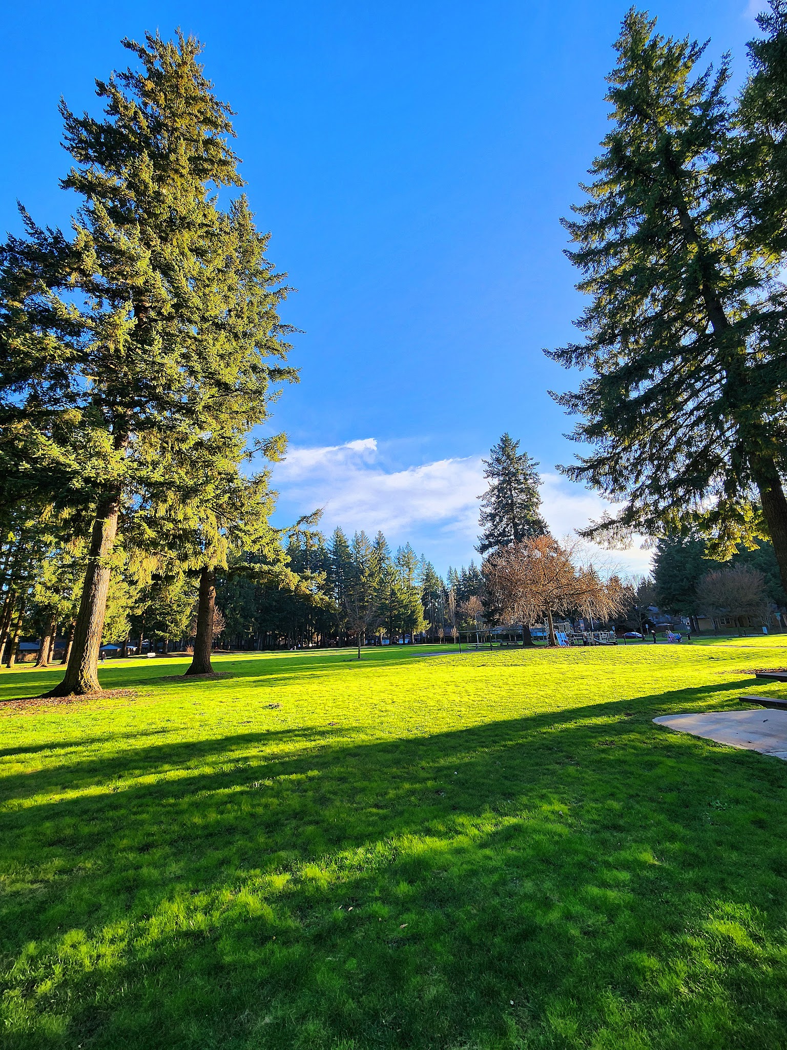 Countryside Park