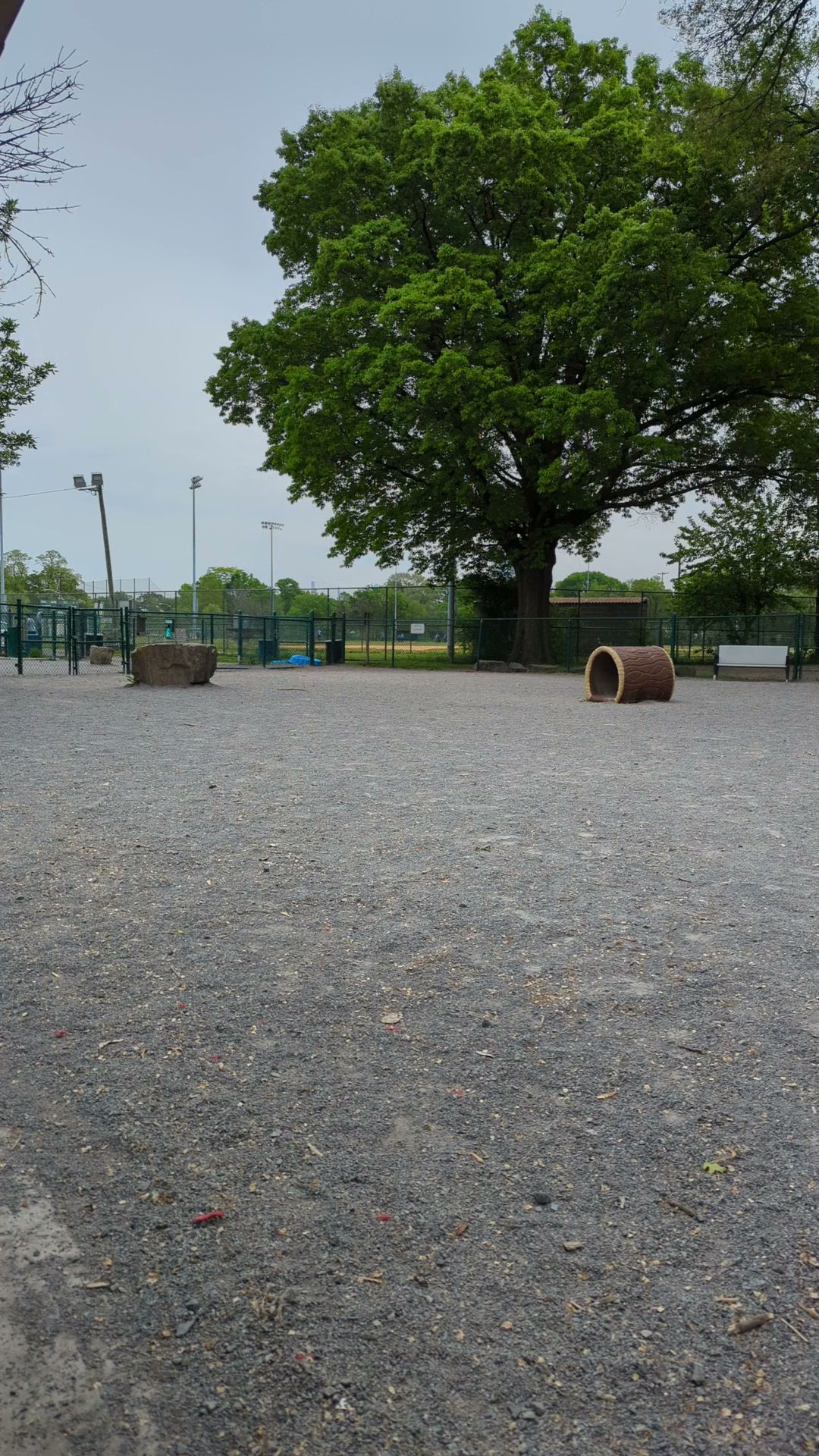 Battle Ground