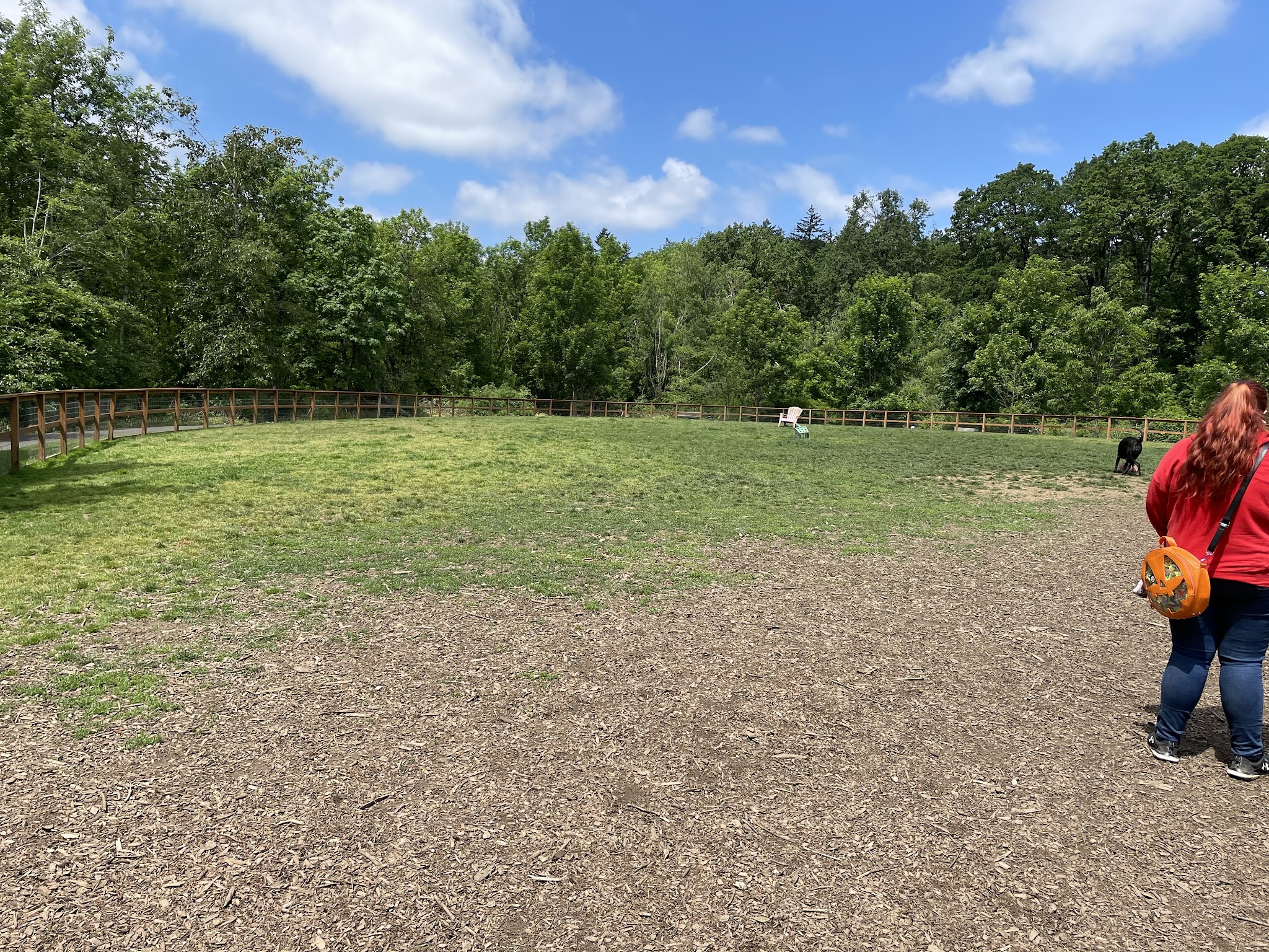 Waluga Dog Park