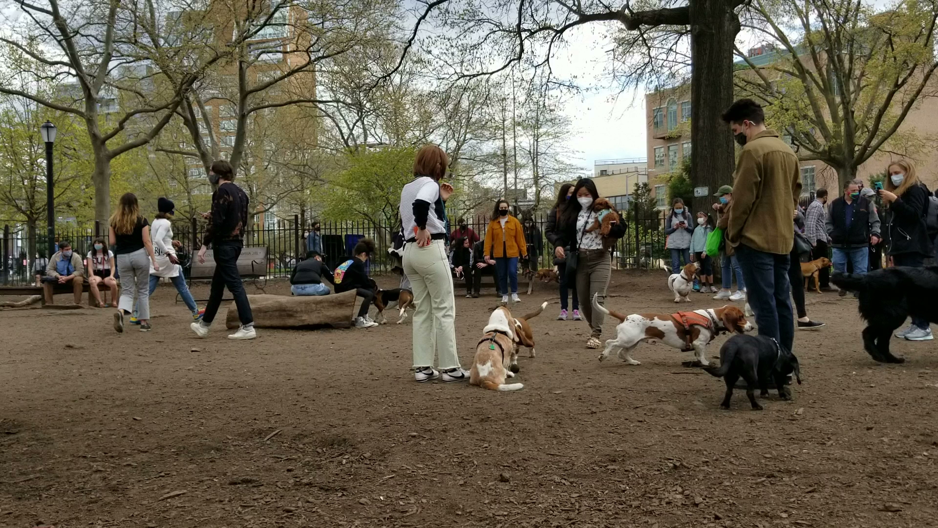 Ash meadows (fenced) dog park