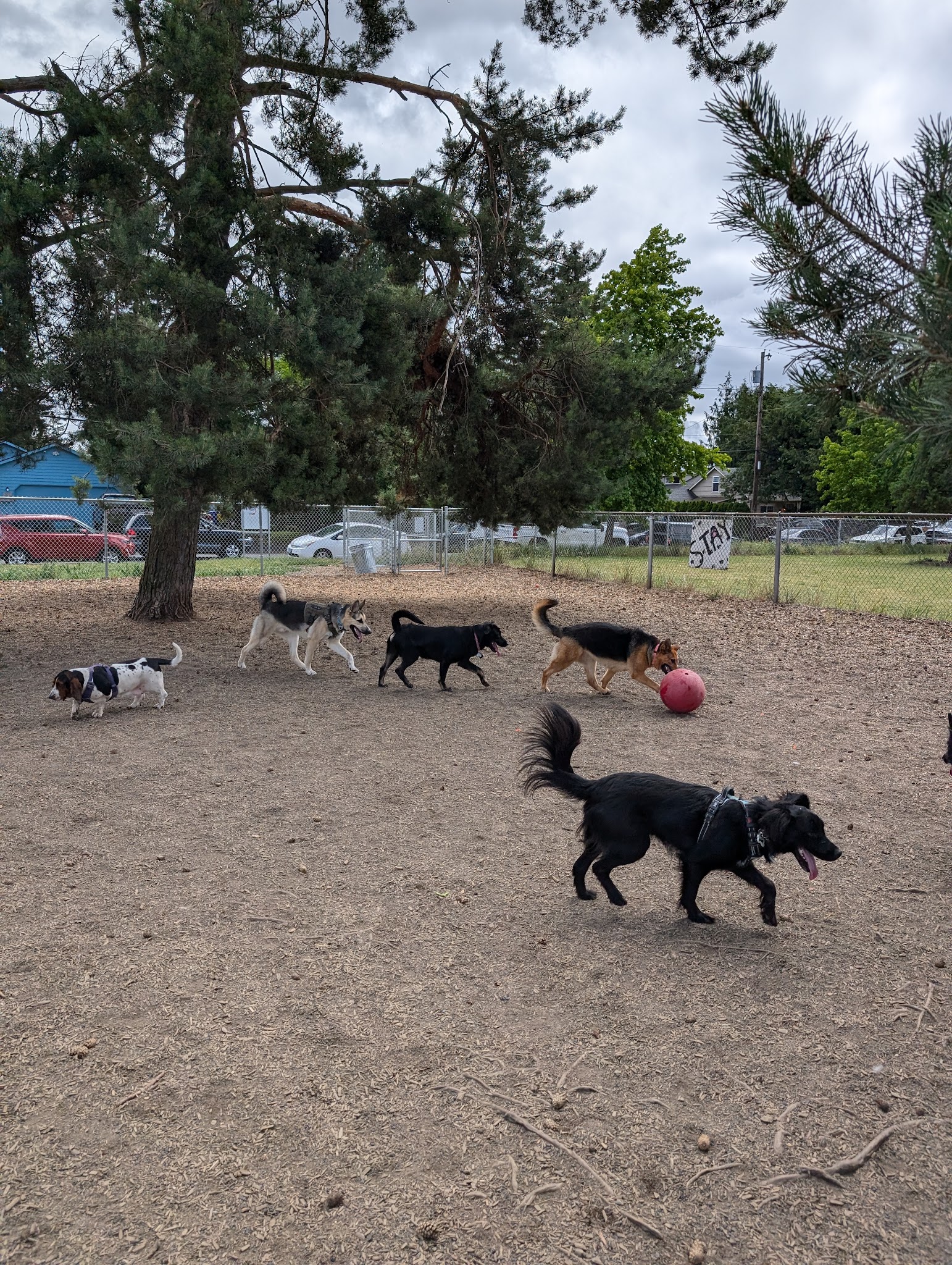 Council Crest Park