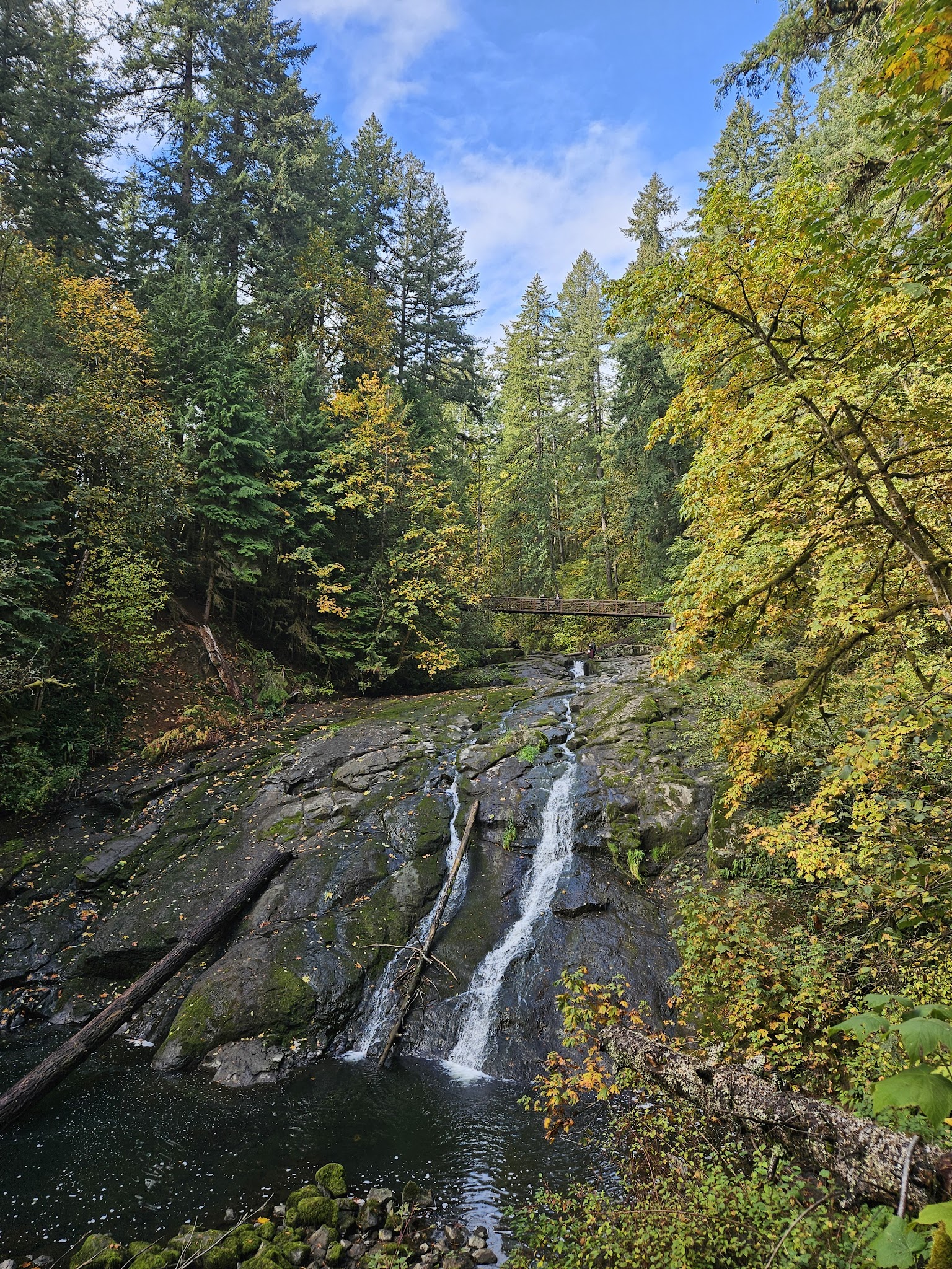 Beaver Park