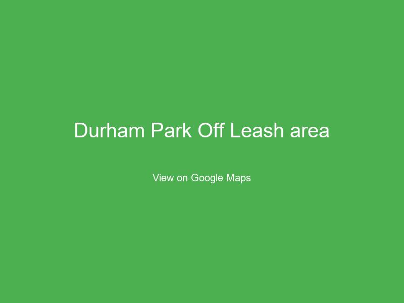 Durham Park Off Leash area