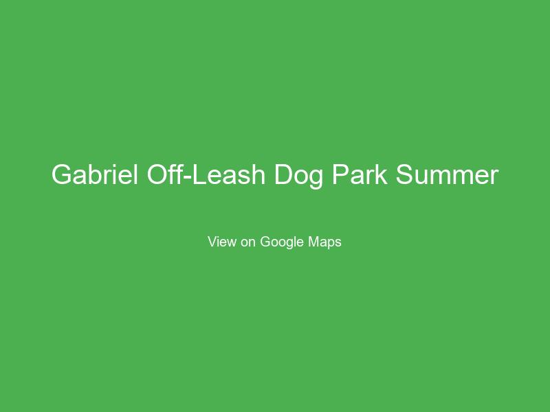 Gabriel Off-Leash Dog Park Summer