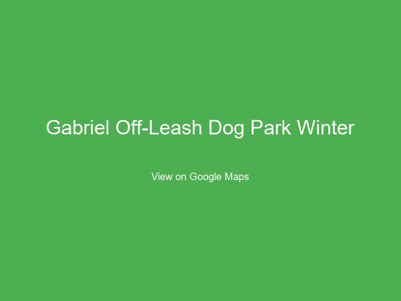 Gabriel Off-Leash Dog Park Winter