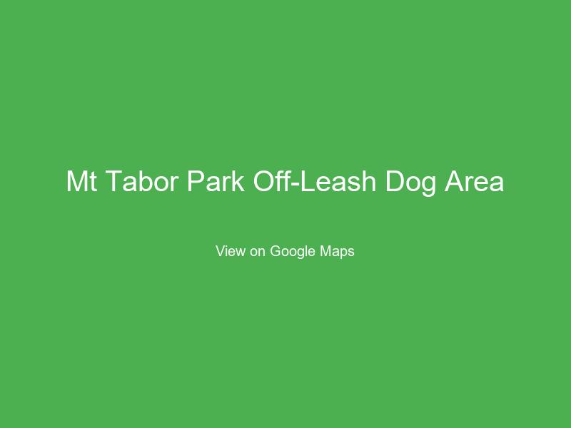 Mt Tabor Park Off-Leash Dog Area