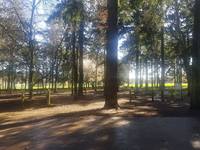 View 4