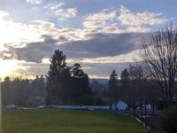 View 1