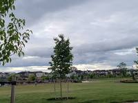 View 2