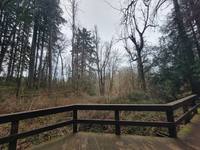 View 4