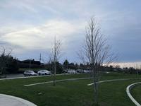 View 1