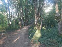 View 1