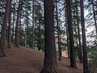 View 4