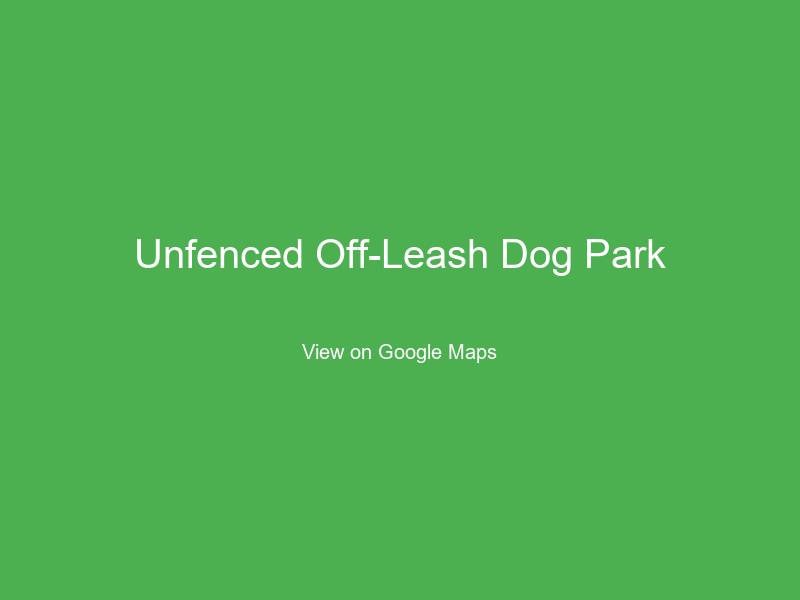 Unfenced Off-Leash Dog Park